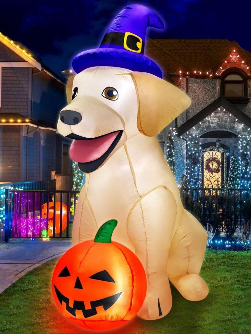 5FT Halloween Inflatable Lab Dog Pumpkin Witch Hat LED Outdoor Yard Decoration